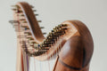 Mango Wood Lyre Harp